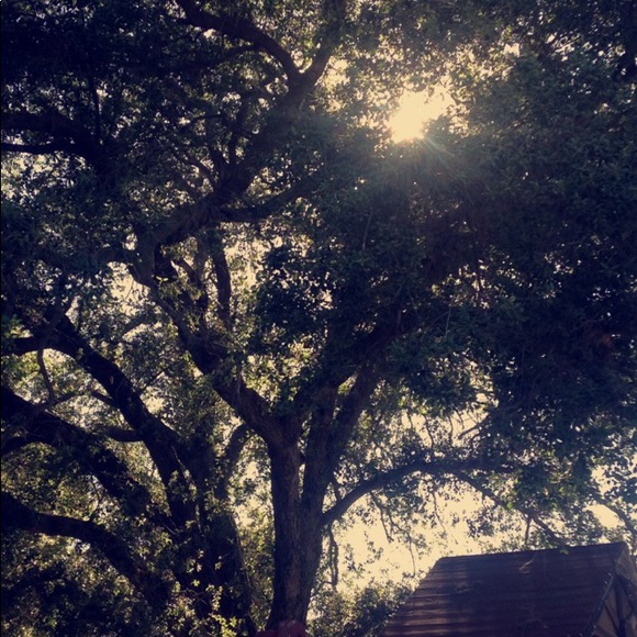 Meet your Posher, Alyssa - Picture 1 of 1